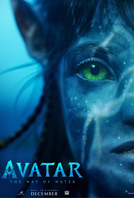 avatar-1.jpg